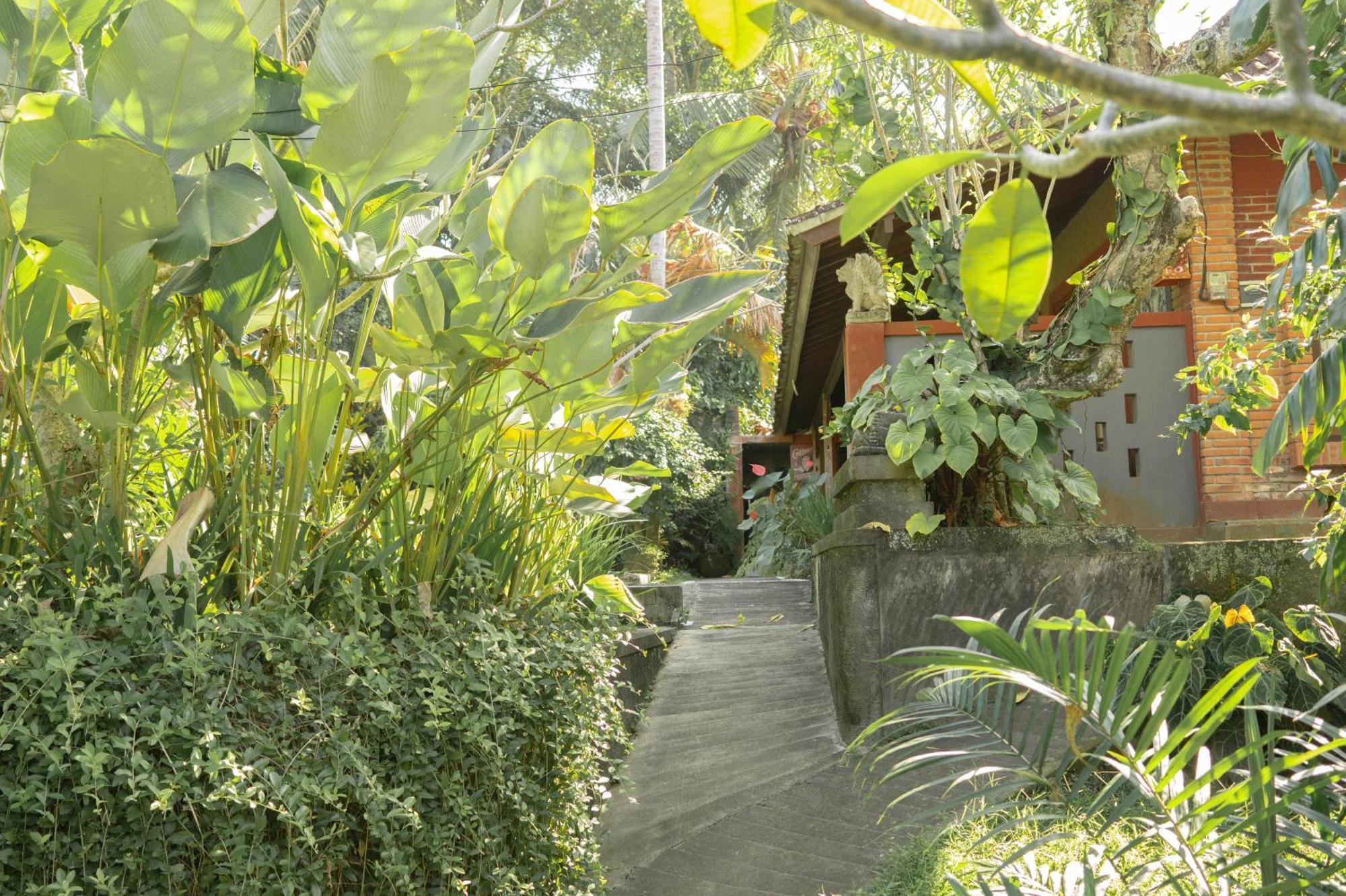 Bramasa Ubud Guest House Buitenkant foto